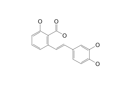 2-[(E)-2-(3,4-dihydroxyphenyl)ethenyl]-6-hydroxybenzoic acid