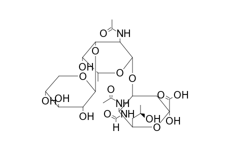 TRISACCHARIDE 3 (FROM PSEUDOMONAS AERUGINOSA O5)