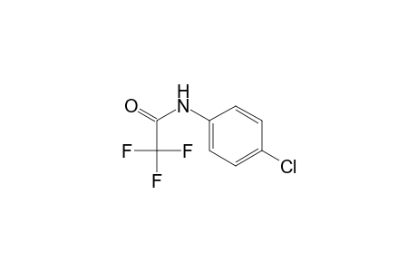 4'-chloro-2,2,2-trifluoroacetanilide