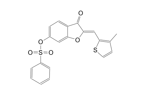 3(2H)-benzofuranone, 2-[(3-methyl-2-thienyl)methylene]-6-[(phenylsulfonyl)oxy]-, (2Z)-