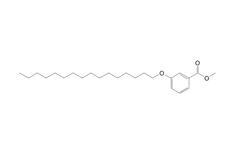 m-(hexadecyloxy)benzoic acid, methyl ester