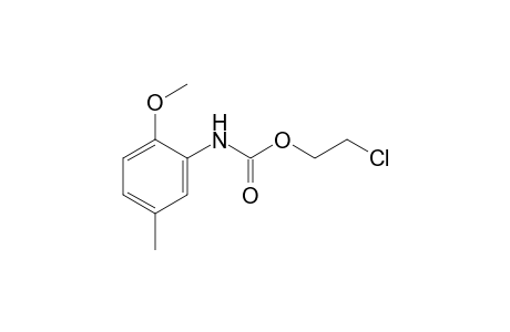 2-Methoxy-5-methylcarbanilic acid, 2-chloroethyl ester