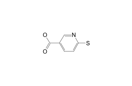 6-Mercaptopyridine-3-carboxylic acid