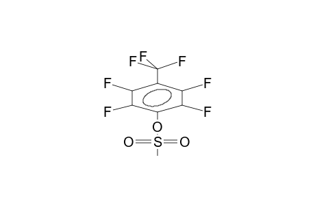 PERFLUORO-PARA-CRESOL MESYLATE