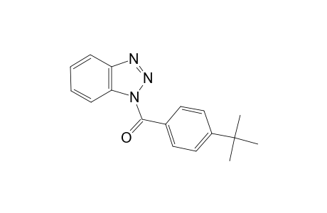 1-(4-tert-butylbenzoyl)-1H-1,2,3-benzotriazole