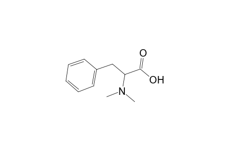 2-dimethylamino-3-phenyl-propionic acid