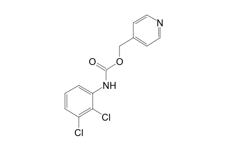 2,3-dichlorocarbanilic acid, (4-pyridyl)methyl ester