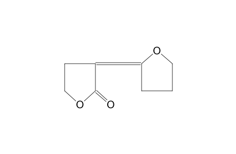 2-(E)-[2-OXOTETRAHYDROFURAN-3-YLIDENE]-TETRAHYDROFURAN