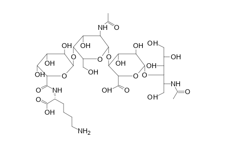 TETRASACCHARIDE 2 (FROM PROTEUS HAUSERI)