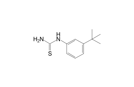 1-(m-tert-BUTYLPHENYL)-2-THIOUREA