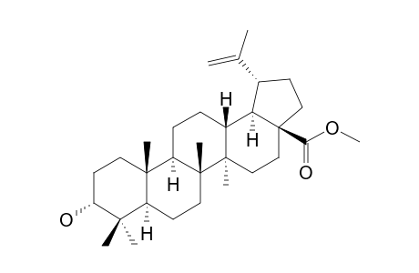 3-EPIBETULINAT