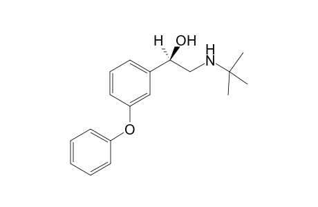 2-(tert-butylamino)-1-(3-phenoxyphenyl)ethanol