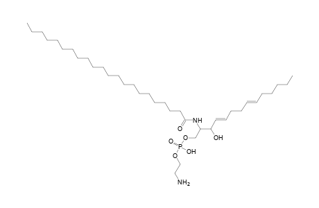 PE-Cer 14:2;2O/22:0