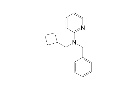 N-benzyl-N-(cyclobutylmethyl)pyridin-2-amine