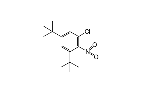 1-chloro-3,5-di-tert-butyl-2-nitrobenzene