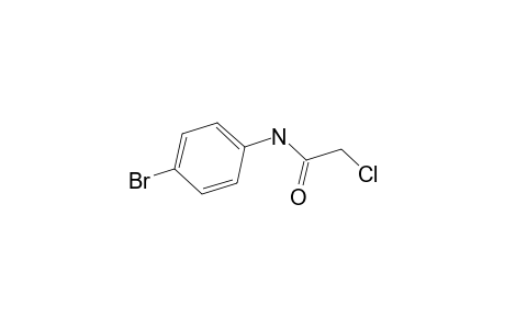 4'-bromo-2-chloroacetanilide