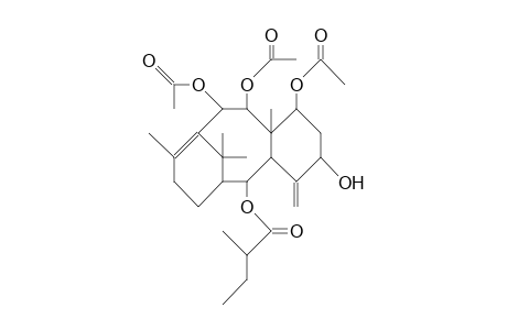 7b,9a,10b-Triacetoxy-2a-(A-methyl-butyryloxy)-4(20),11-taxadien-5a-ol