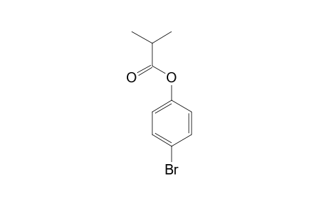 4-Bromophenol, 2-methylpropionate