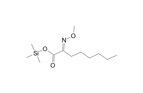 Octanoic acid, 2-(methoxyimino)-, trimethylsilyl ester