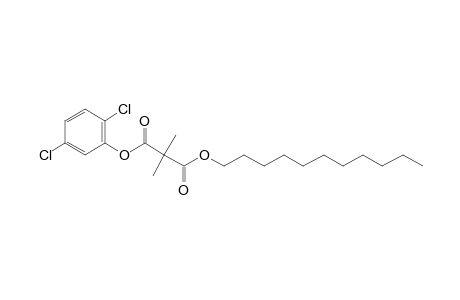 Dimethylmalonic acid, 2,5-dichlorophenyl undecyl ester