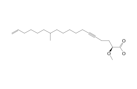 STELLETTIC-ACID-A;(2S)-2-METHOXY-12-METHYLOCTADEC-17-EN-5-YNOIC-ACID