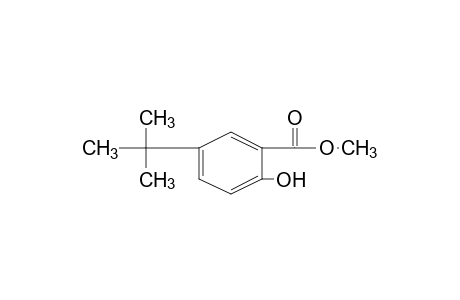 5-tert-butylsalicylic acid, methyl ester