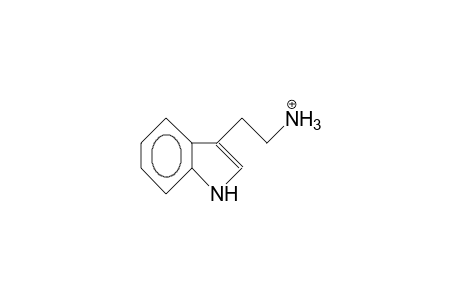 Tryptammonium cation