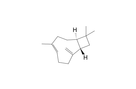 (E)-(1R,9S)-(-)-8-methylene-4,11,11-trimethylbicyclo[7.2.0]undec-4-ene