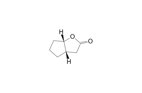 2-Oxabicyclo[3.3.0]octan-3-one