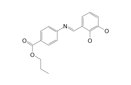 Benzoic acid, 4-(2,3-dihydroxybenzylidenamino)-, propyl ester