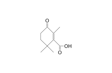 3-OXO-2,6,6-TRIMETHYL-1-CYCLOHEXENE-1-CARBOXYLIC ACID