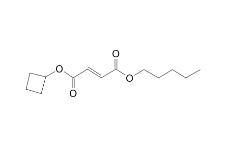 Fumaric acid, cyclobutyl pentyl ester