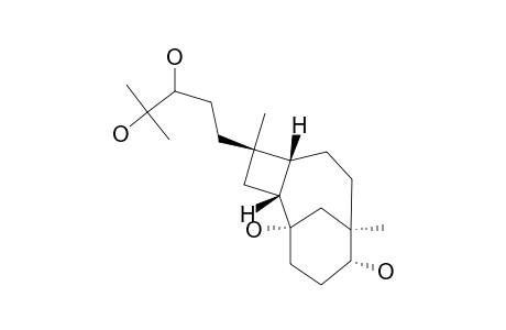 EXCOAGALLOCHAOL-B