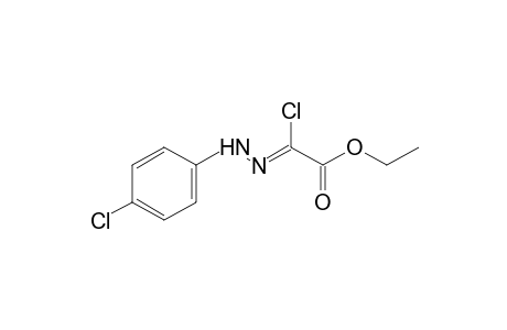 chloroglyoxylic acid, ethyl ester, p-chlorophenyhydrazone