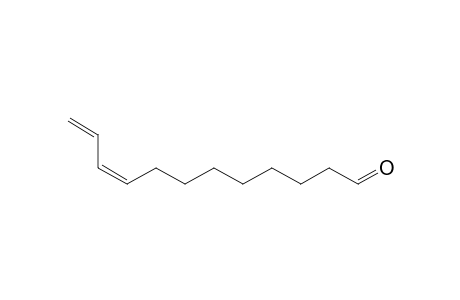 (9Z)-dodeca-9,11-dienal