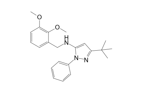 3-tert-Butyl-N-(2,3-dimethoxybenzyl)-1-phenyl-1H-pyrazol-5-amine