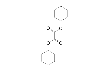 Oxalic acid, dicyclohexyl ester