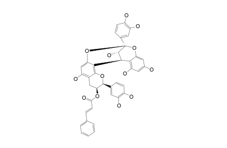 3'-O-CINNAMOYLPROCYANIDIN-A-2;EPICATECHIN-(2-BETA->O->7',4-BETA->8')-EPICATECHIN-3'-O-CINNAMATE