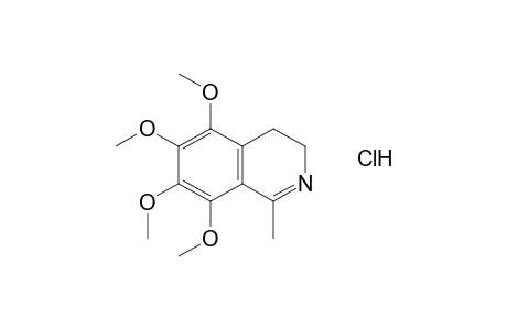 3,4-dihydro-1-methyl-5,6,7,8-tetramethoxyisoquinoline, hydrochloride