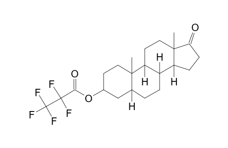 Trans-androsterone, pentafluoropropionate