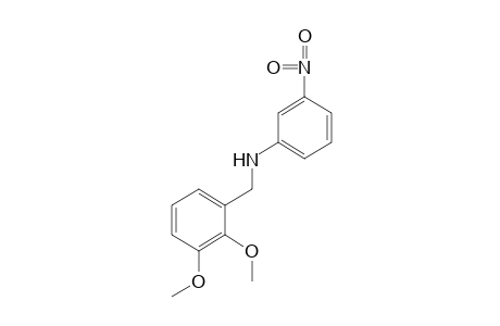 2,3-dimethoxy-N-(m-nitrophenyl)benzylamine