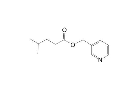 4-Methylvaleric acid, picolinyl ester