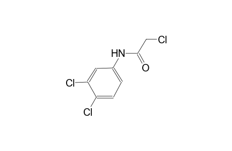 Acetamide, 2-chloro-N-(3,4-dichlorophenyl)-