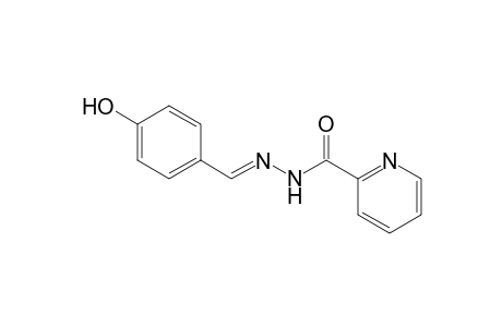 2-pyridinecarboxylic acid, 2-[(E)-(4-hydroxyphenyl)methylidene]hydrazide