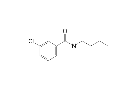 Benzamide, 3-chloro-N-butyl-