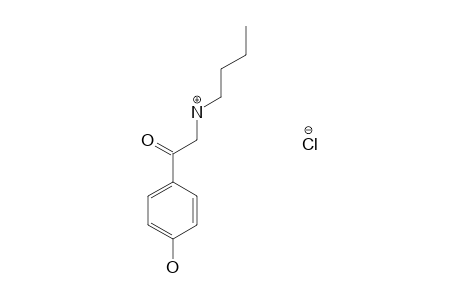 2-(butylamino)-4'-hydroxyacetophenone, hydrochloride