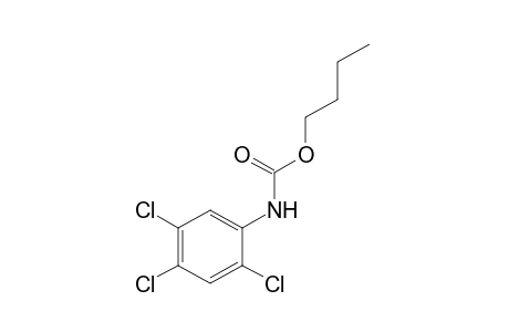 2,4,5-trichlorocarbanilic acid, butyl ester