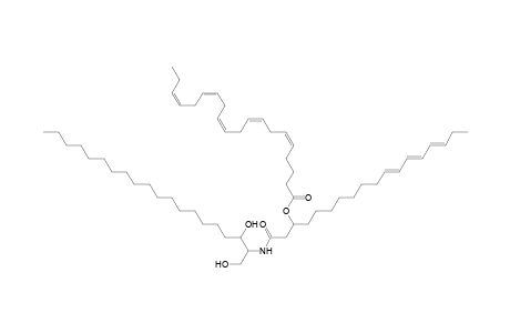 Cer 20:0;2O/18:3;(3OH)(FA 20:5)