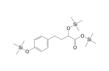 2-Hydroxy-4-(4-hydroxyphenyl)butanoic acid, 3tms