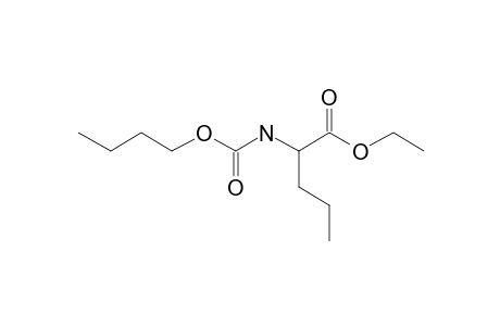 L-Norvaline, N-butoxycarbonyl-, ethyl ester